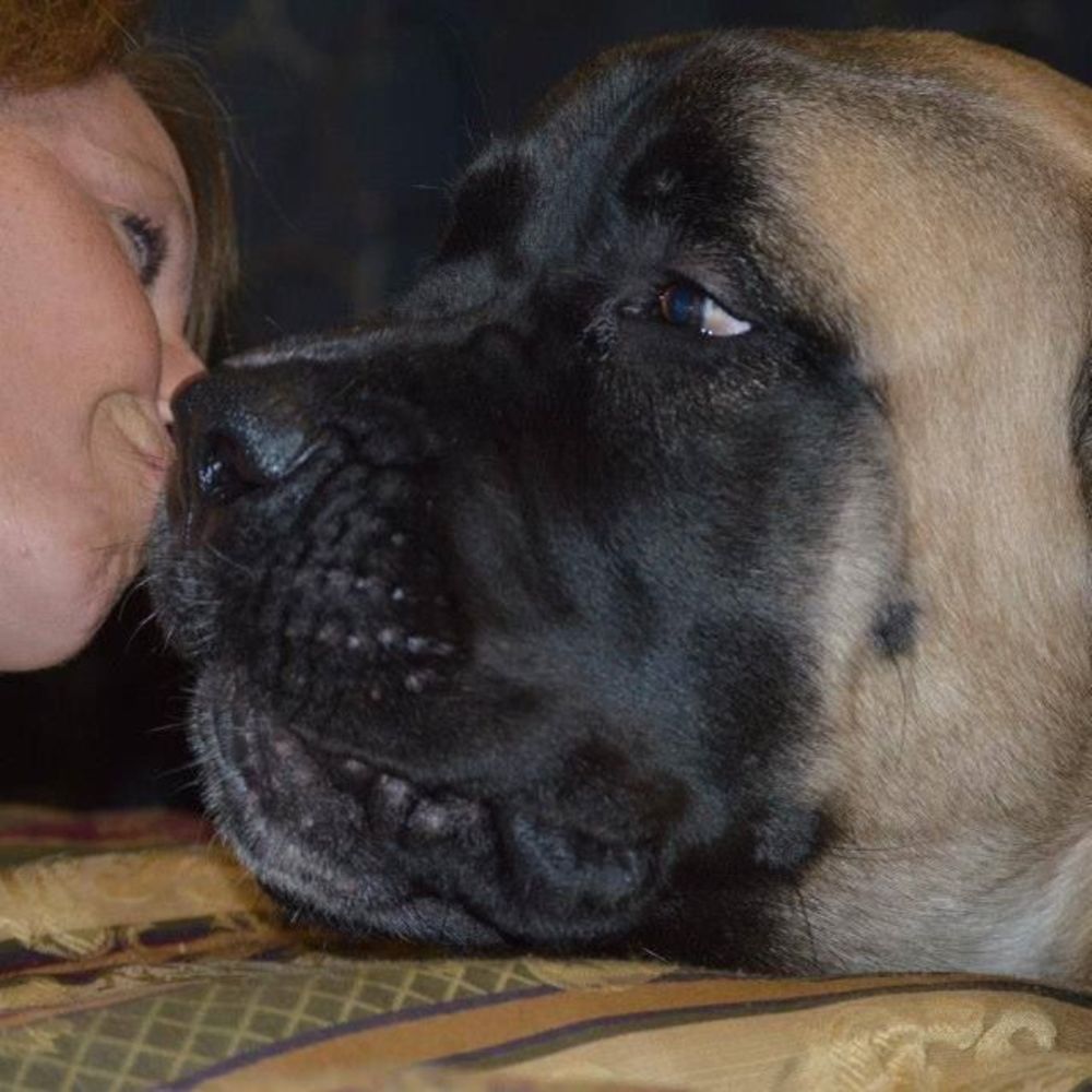 Meet your Posher, Lori